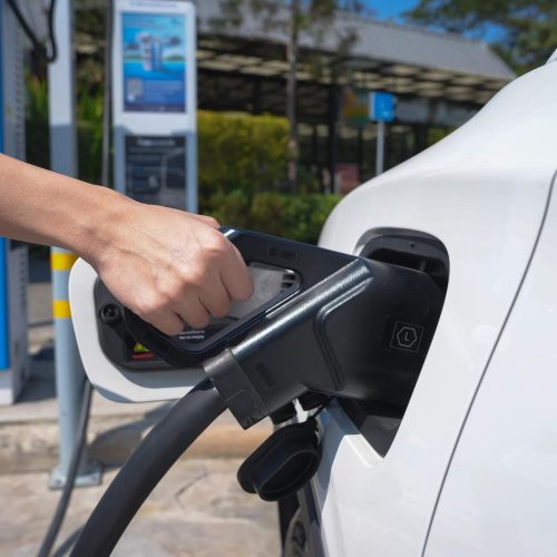 29rhgqUTarr9_hT6Rm3ambXBXNAF4TirHEpedaSRiVWCEyaagm3ydGmAt_ZSMmmWQNqvpeNT3vp-AMumTOYstwSK0ZySX0Ks9T2EYTkumZo